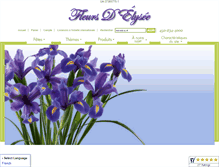 Tablet Screenshot of fleursdelysee.com